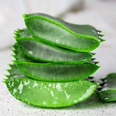 aloe-vera-sliced-gray-on-white-background-FVMB3UU.jpg